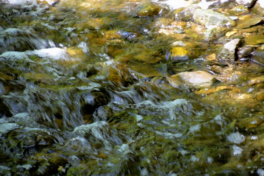 Photo freshwater pulses