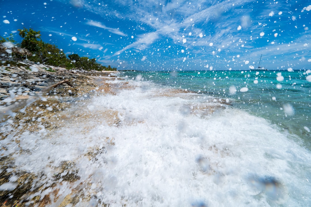 Photo marine heatwaves