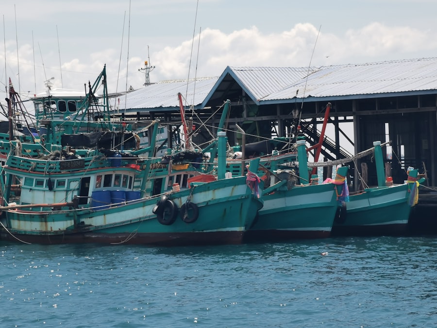 Photo fisheries impact