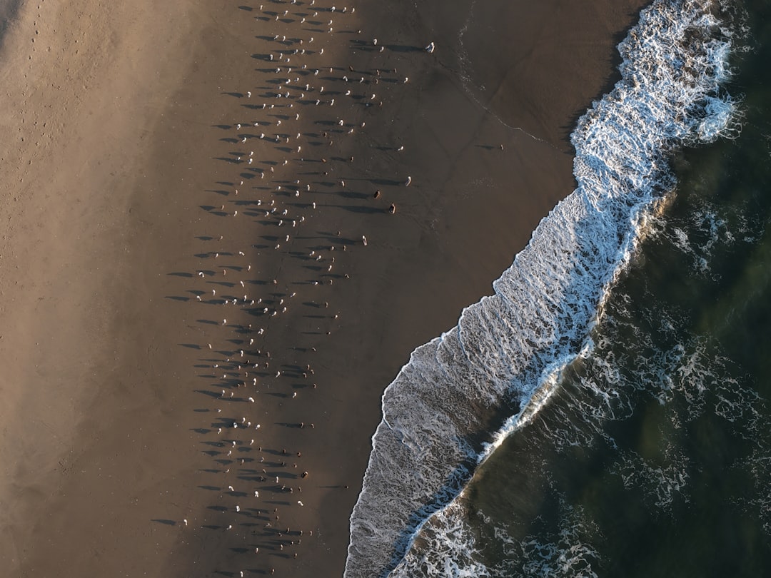 Photo climate response ocean