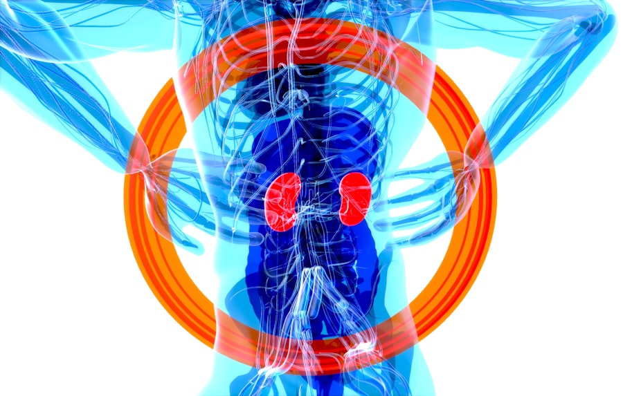 Photo magnetic pole reversal symptoms