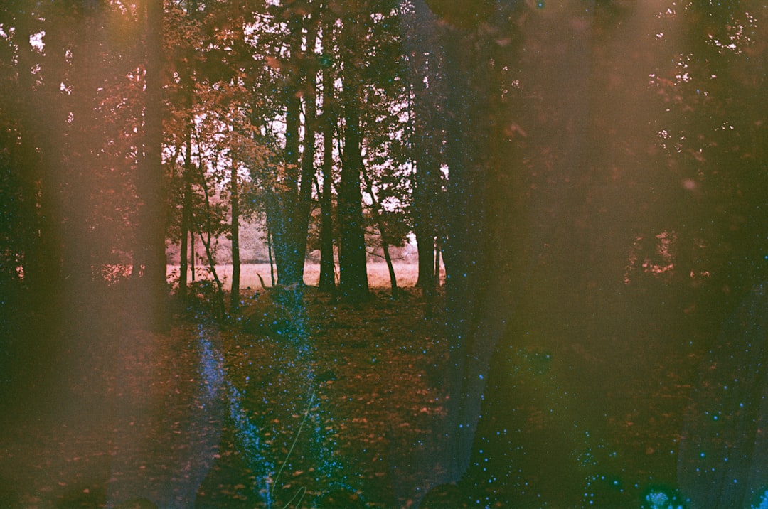 Photo atmospheric effects