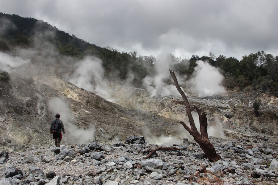 environmental science