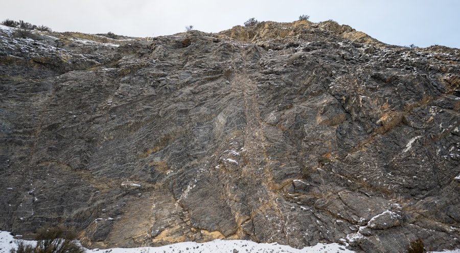 geological sciences