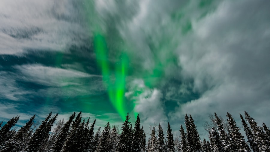 magnetic field