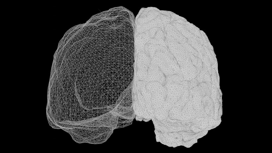 Photo simulation theory neuroscience proof