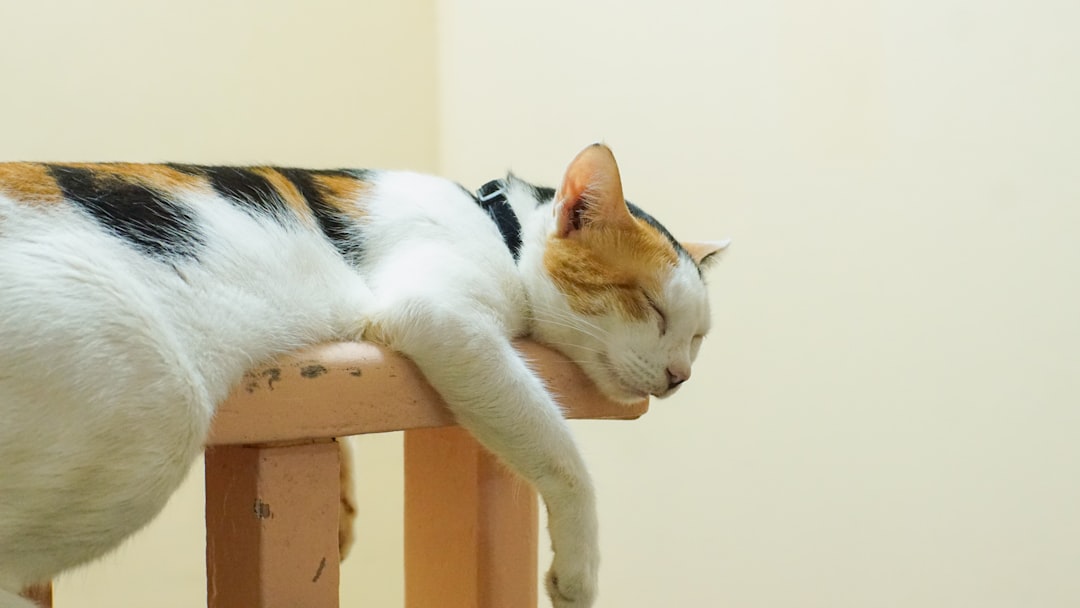 Photo sleep position