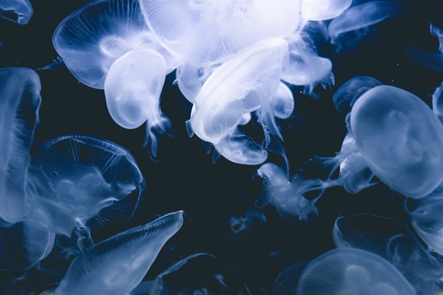 Photo reduce brain fog