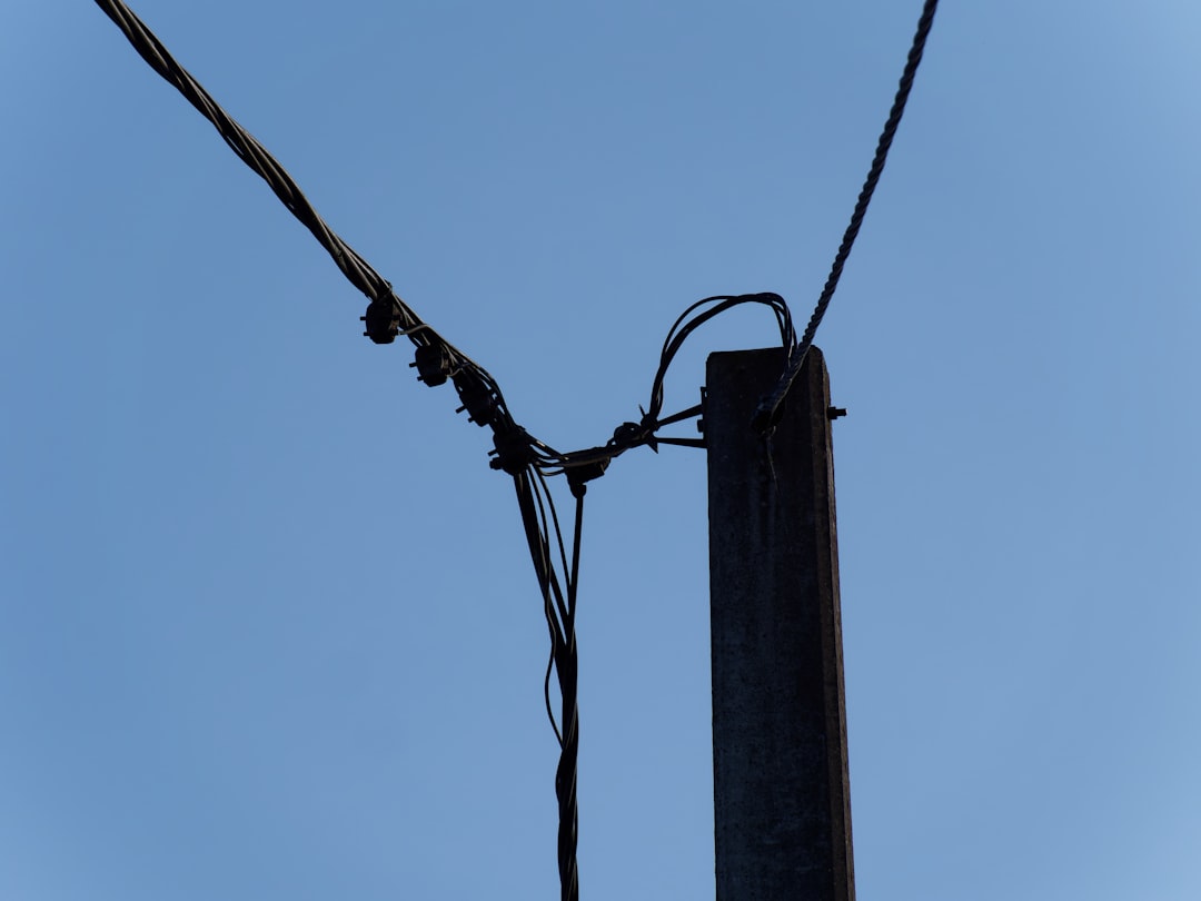 Photo pole flip, destroy, internet