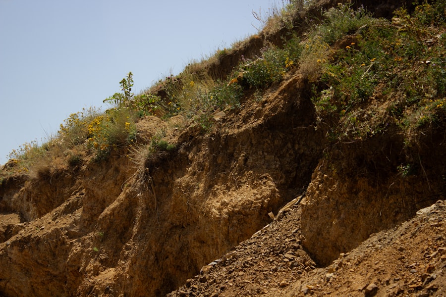 Photo environmental sciences