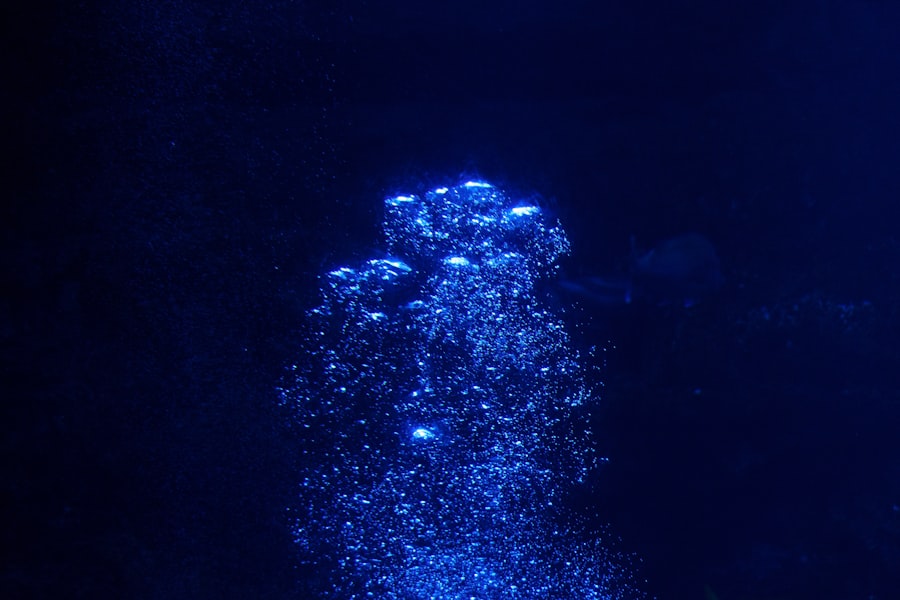 Photo universe, hologram