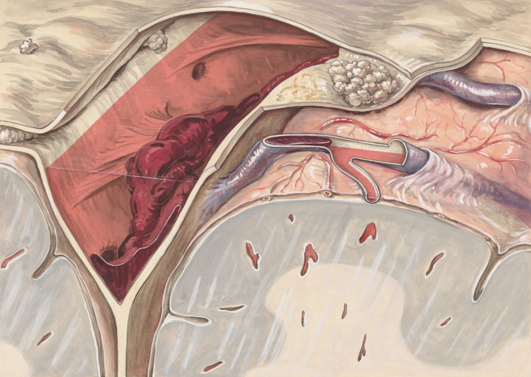 Photo Glymphatic system