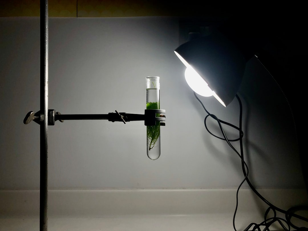 Photo michelson morley experiment