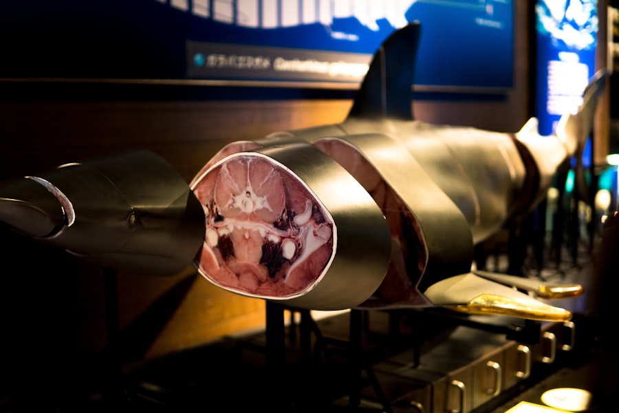 submarine detection technology