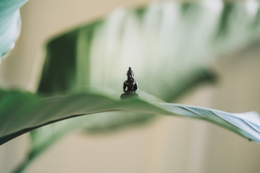 consciousness