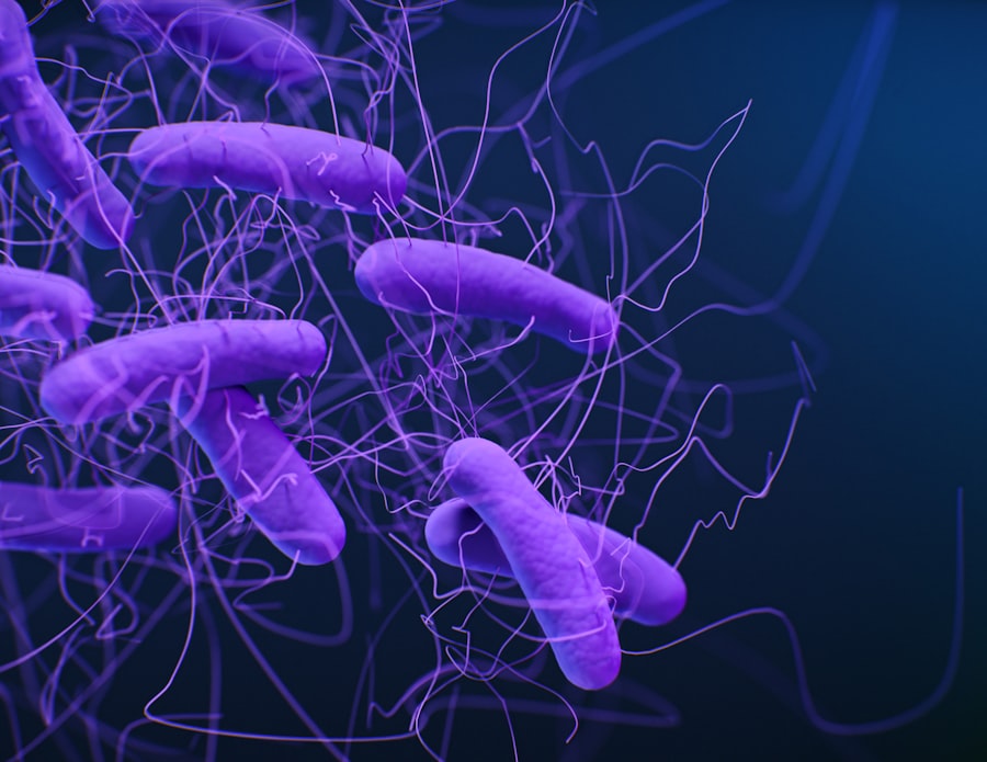 nitrogen fixing bacteria