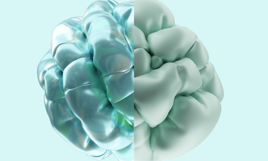 brain processes color