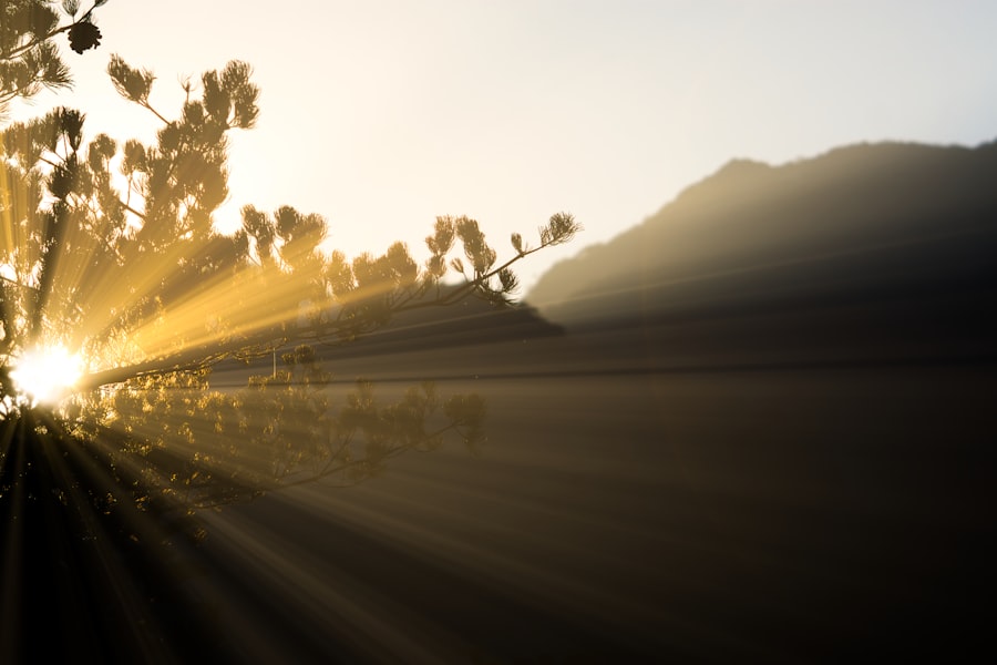 light