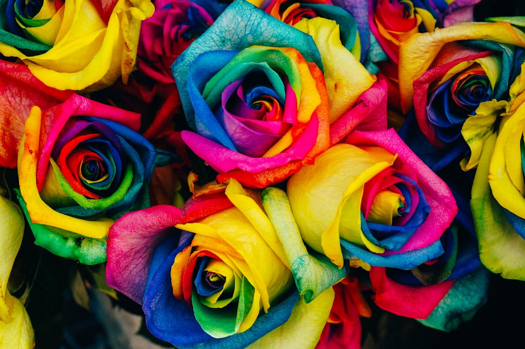 Photo colors