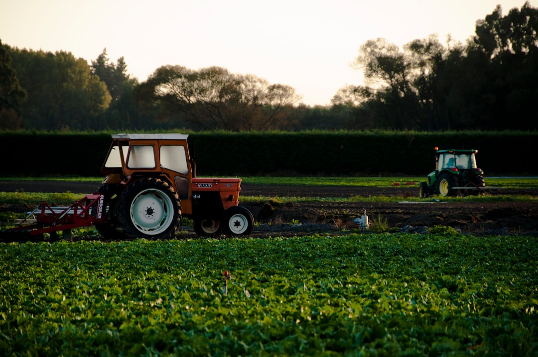 Photo nitrogen cycle agriculture