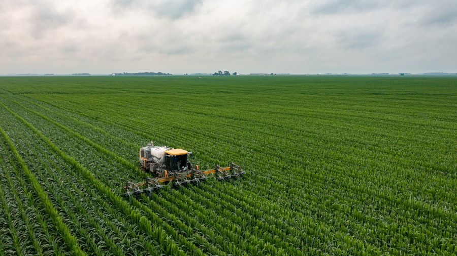 Photo nitrogen agriculture