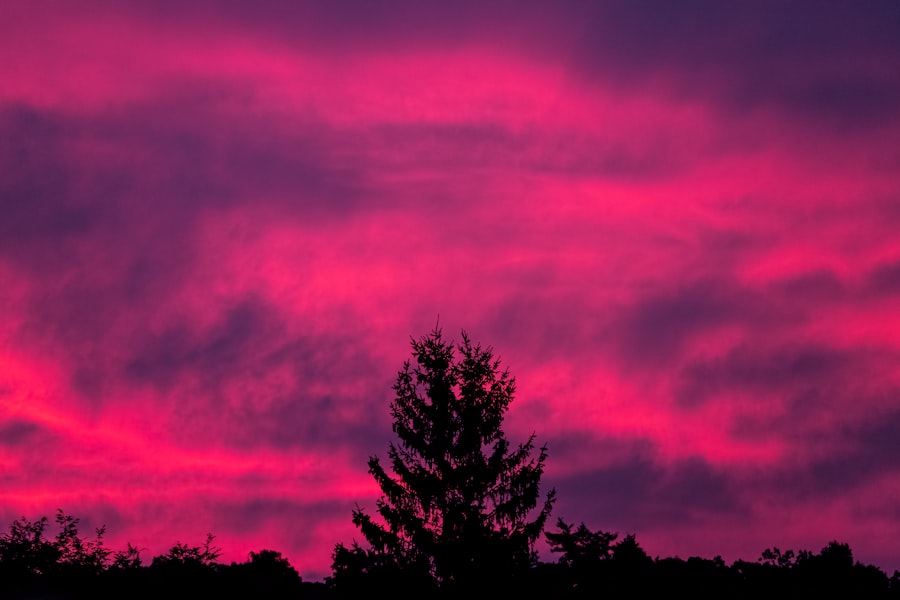 Photo magenta