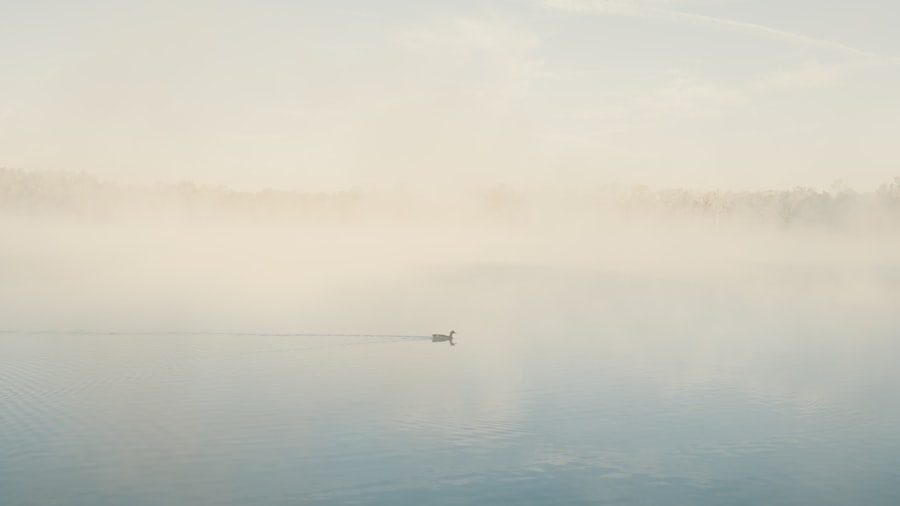 consciousness