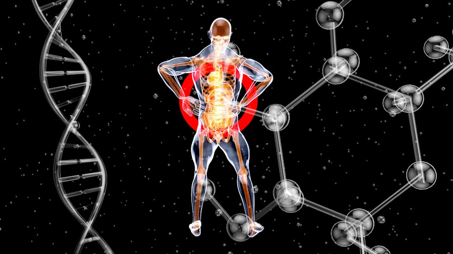 human body facts