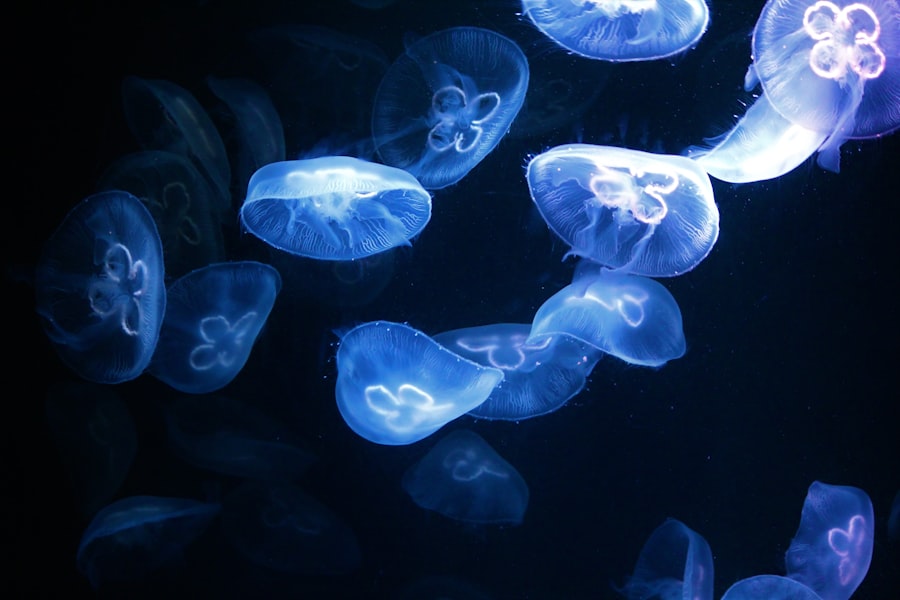 bioluminescence
