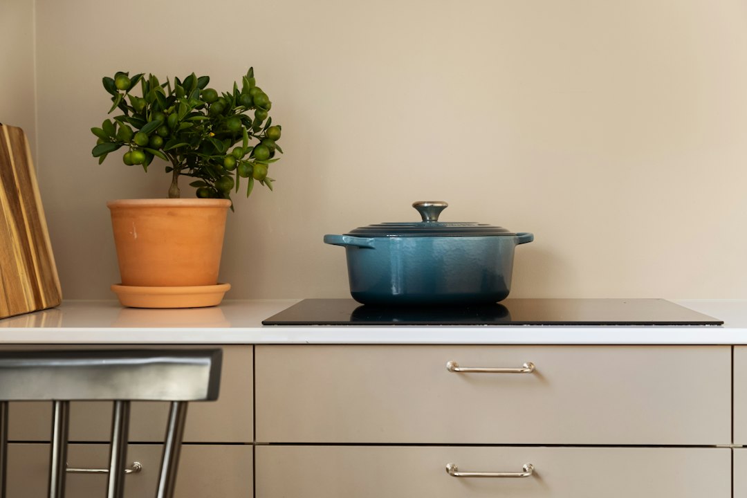 Photo induction stoves