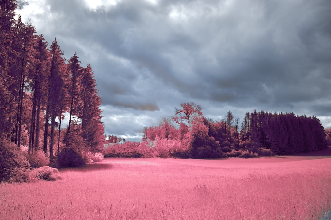 Photo infrared