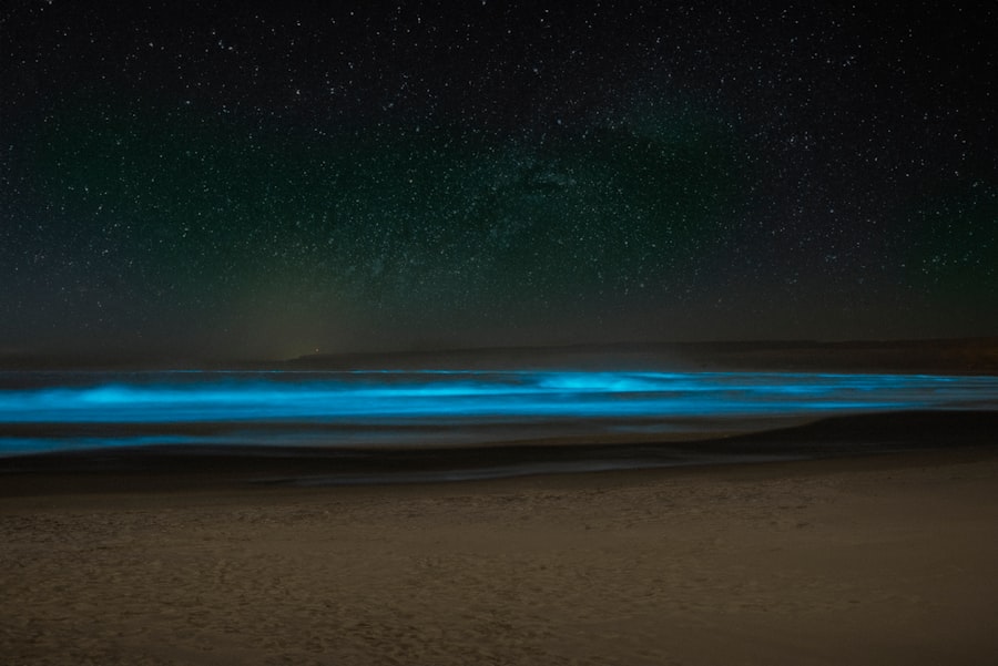 Photo bioluminescence