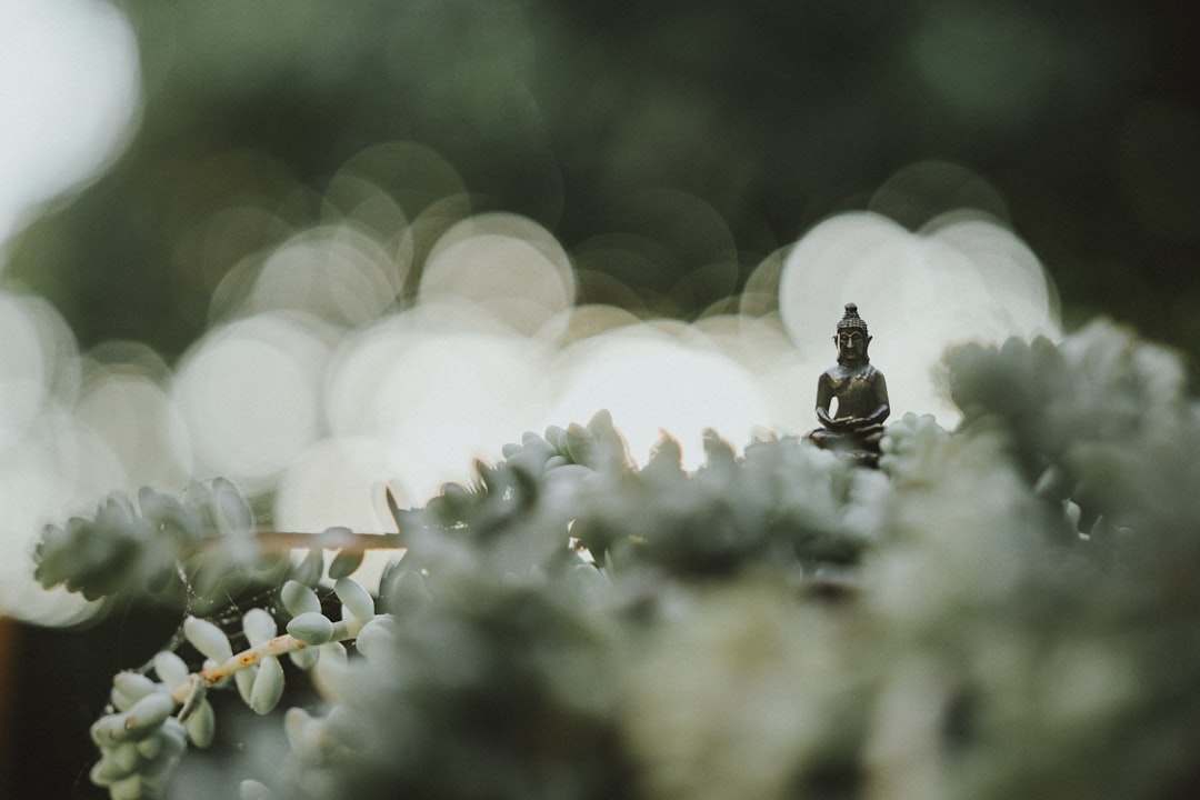 Photo consciousness