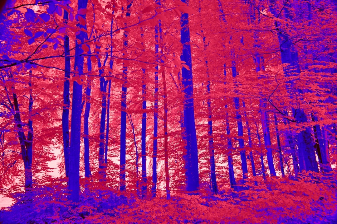 Photo Webb infrared images