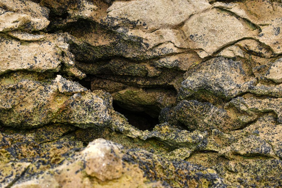 geological surprises