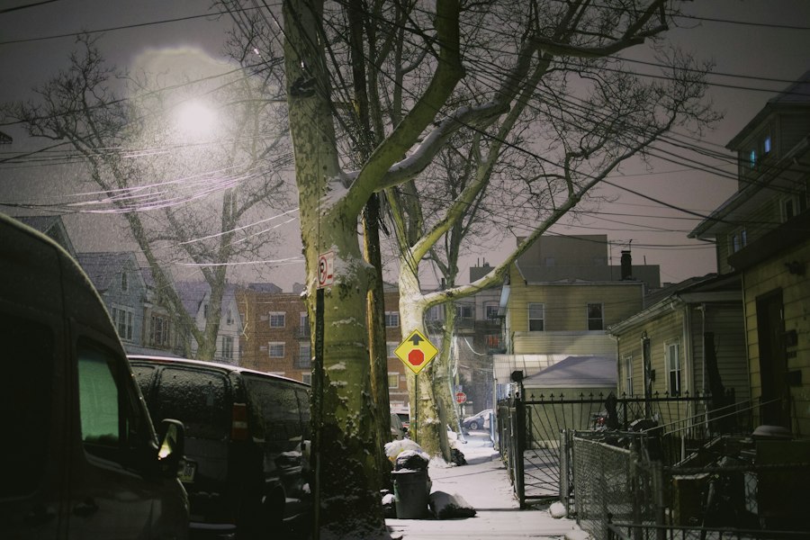 Photo purple streetlight camera eye comparison