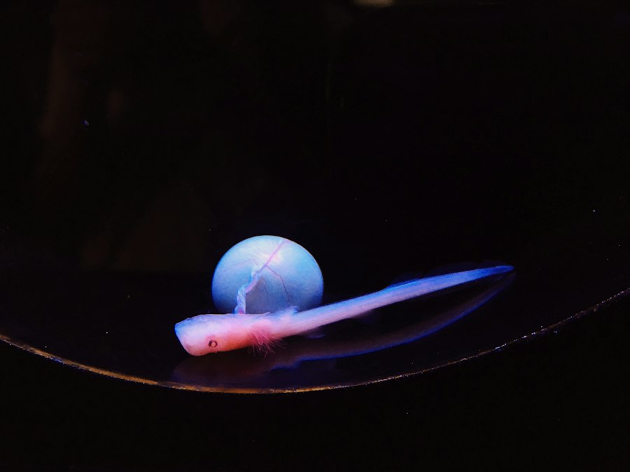 Photo water boiling vacuum experiment