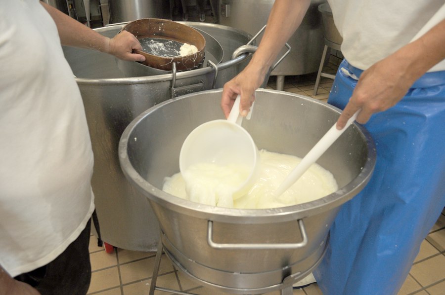 milk sugar freezing process